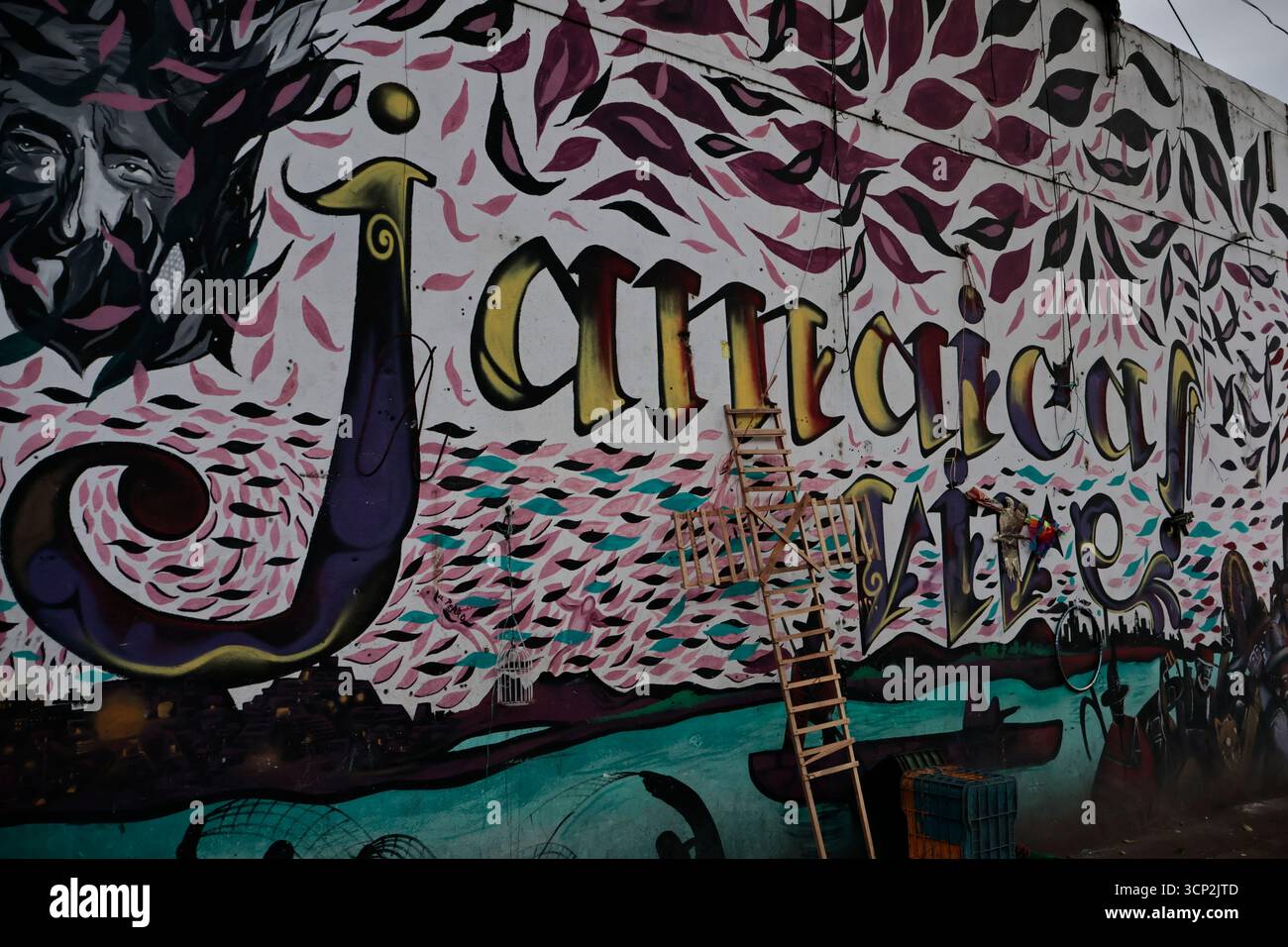 Mexique, CDMX, Mexique. 23 septembre 2025. Le marché le plus important spécialisé dans les fleurs de toutes sortes est le marché jamaïcain, situé à Mexico. Aujourd'hui marque son 68e anniversaire et est l'un des principaux points de vente et de distribution de fleurs de divers états à travers le pays. Avec de la musique live et de la danse dans ses allées, les vendeurs, les employés et les clients célèbrent un autre anniversaire. Ce marché a ouvert ses portes en 1957 dans le cadre de la modernisation de la ville. Il a des racines préhispaniques, comme il était et continue d'être le centre de commerce de fleurs le plus important, relié à cette époque par des rivières ou CA Banque D'Images