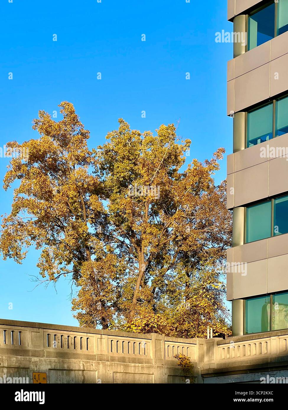 Architecture moderne et nature urbaine Banque D'Images