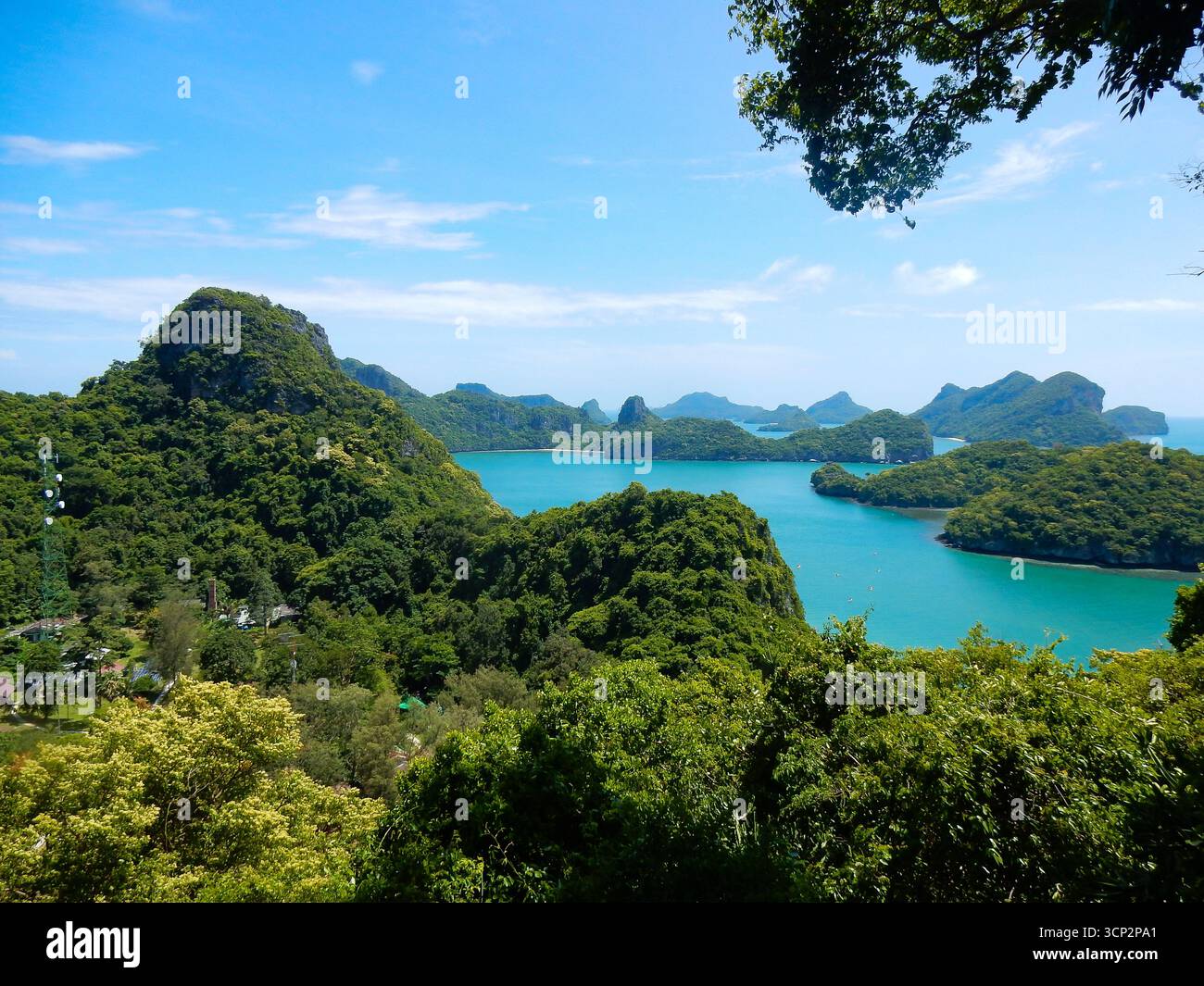 Parc marin luxuriant des îles d'Ang Thong en Thaïlande Banque D'Images