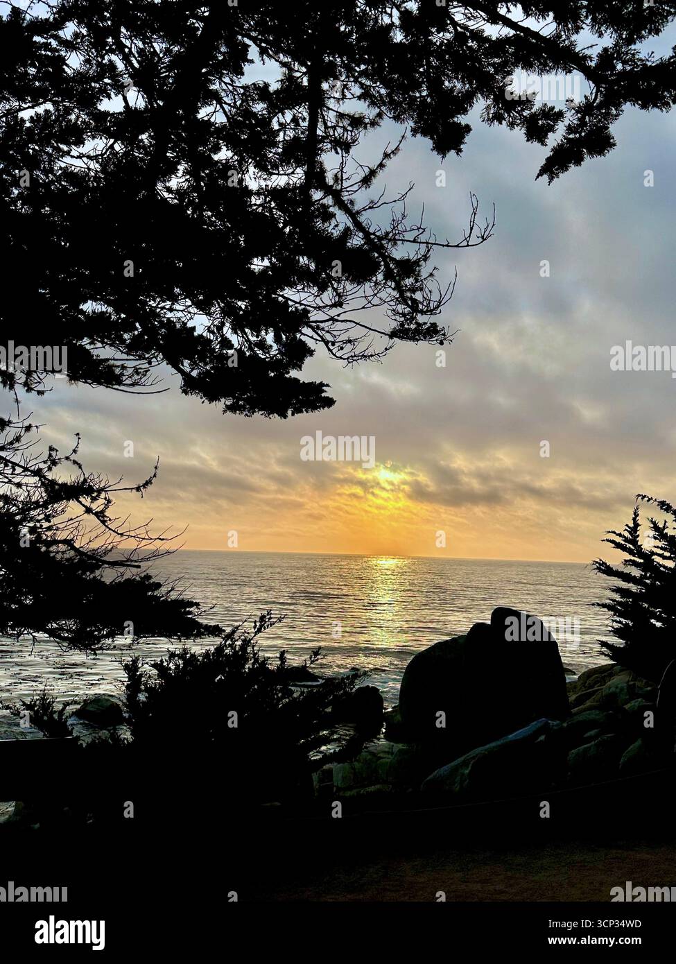 Coucher de soleil encadré par des arbres sur la côte rocheuse du Pacifique - Image de stock capturée avec un smartphone