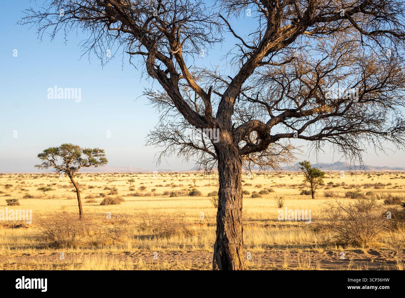 Solitaire est une colonie isolée en Namibie, située au bord du désert du Namib, entourée de dunes et de chaînes de montagnes. Banque D'Images