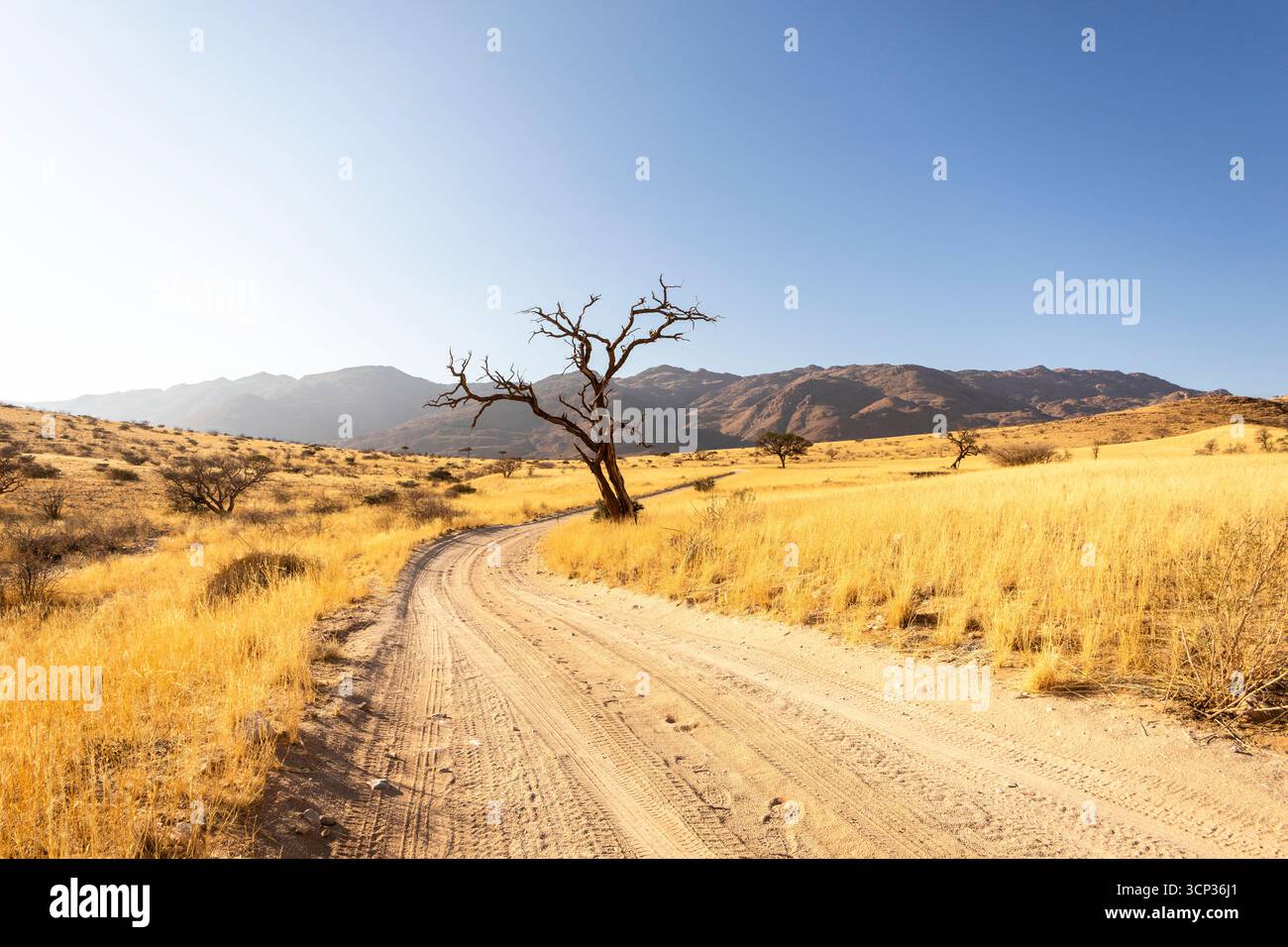 Solitaire est une colonie isolée en Namibie, située au bord du désert du Namib, entourée de dunes et de chaînes de montagnes. Banque D'Images