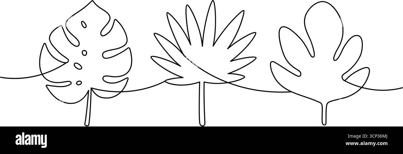 Élégant dessin en ligne continue de monstera, de palmier et de feuilles de figue. Art botanique minimaliste pour un design sur le thème de la nature Illustration de Vecteur