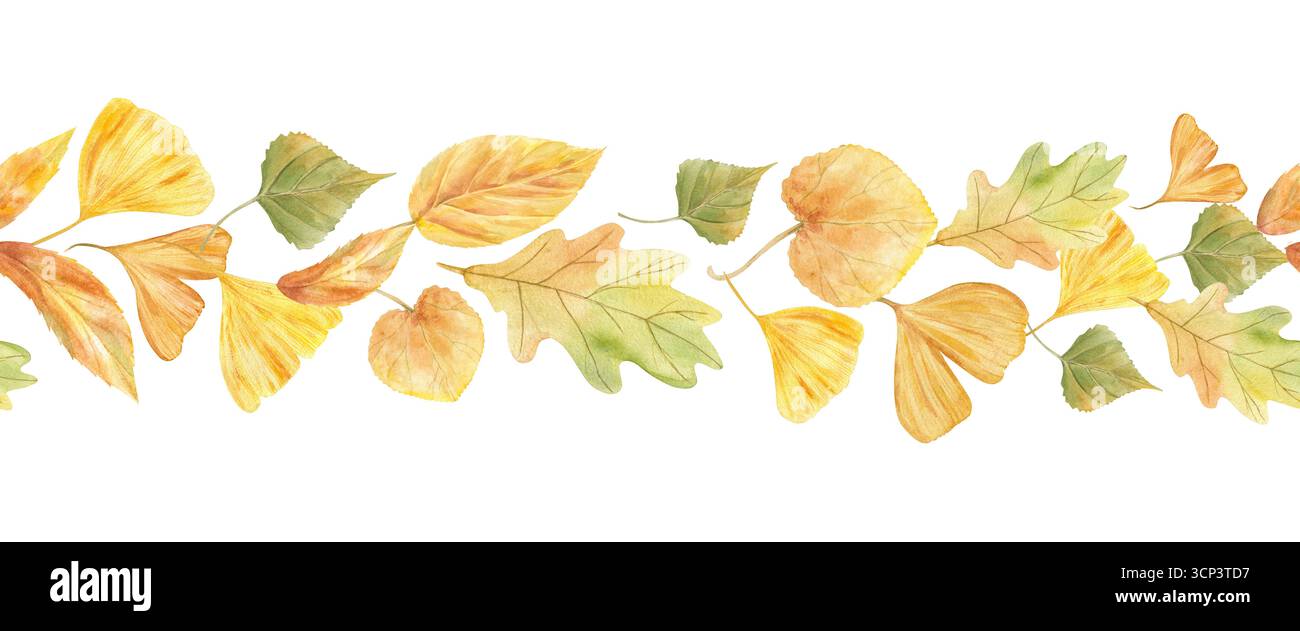 Aquarelle couleur automne feuilles bannière sans couture sur fond isolé. Chute de chêne vert doré et jaune, tremble, ginkgo, tilleul, peuplier, feuille de frêne Banque D'Images