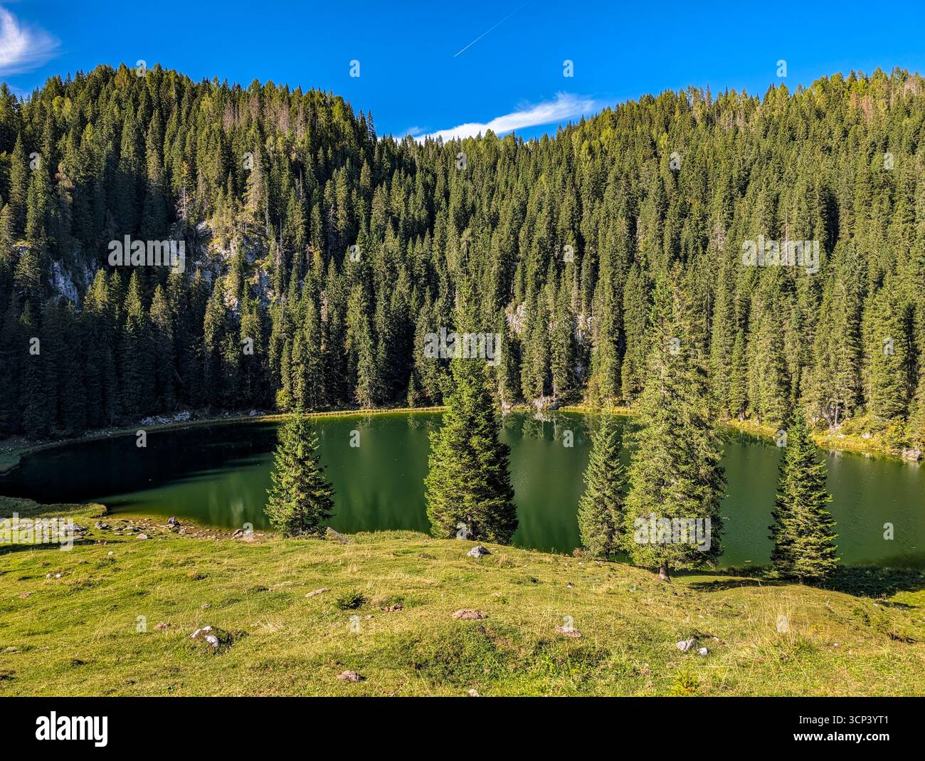 Lac Jezero Na Planini PRI Jezeru, Un lac glaciaire situé à une altitude de 1453 M, entouré par Une forêt d'épinettes sombres dans le parc national du Triglav Banque D'Images
