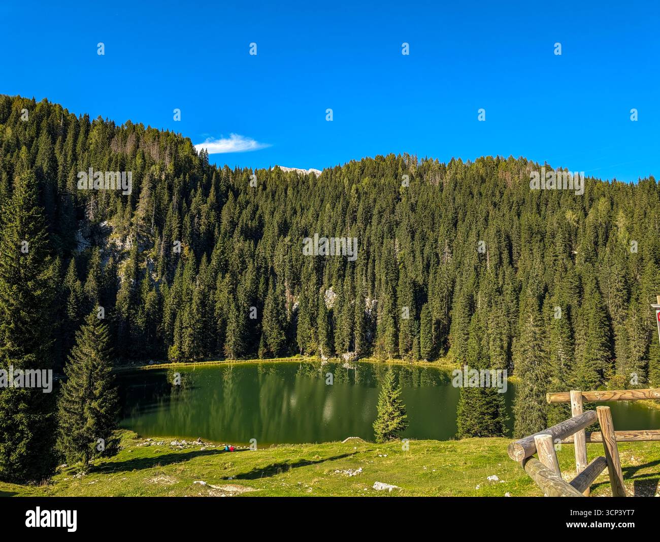 Lac Jezero Na Planini PRI Jezeru, Un lac glaciaire situé à une altitude de 1453 M, entouré par Une forêt d'épinettes sombres dans le parc national du Triglav Banque D'Images