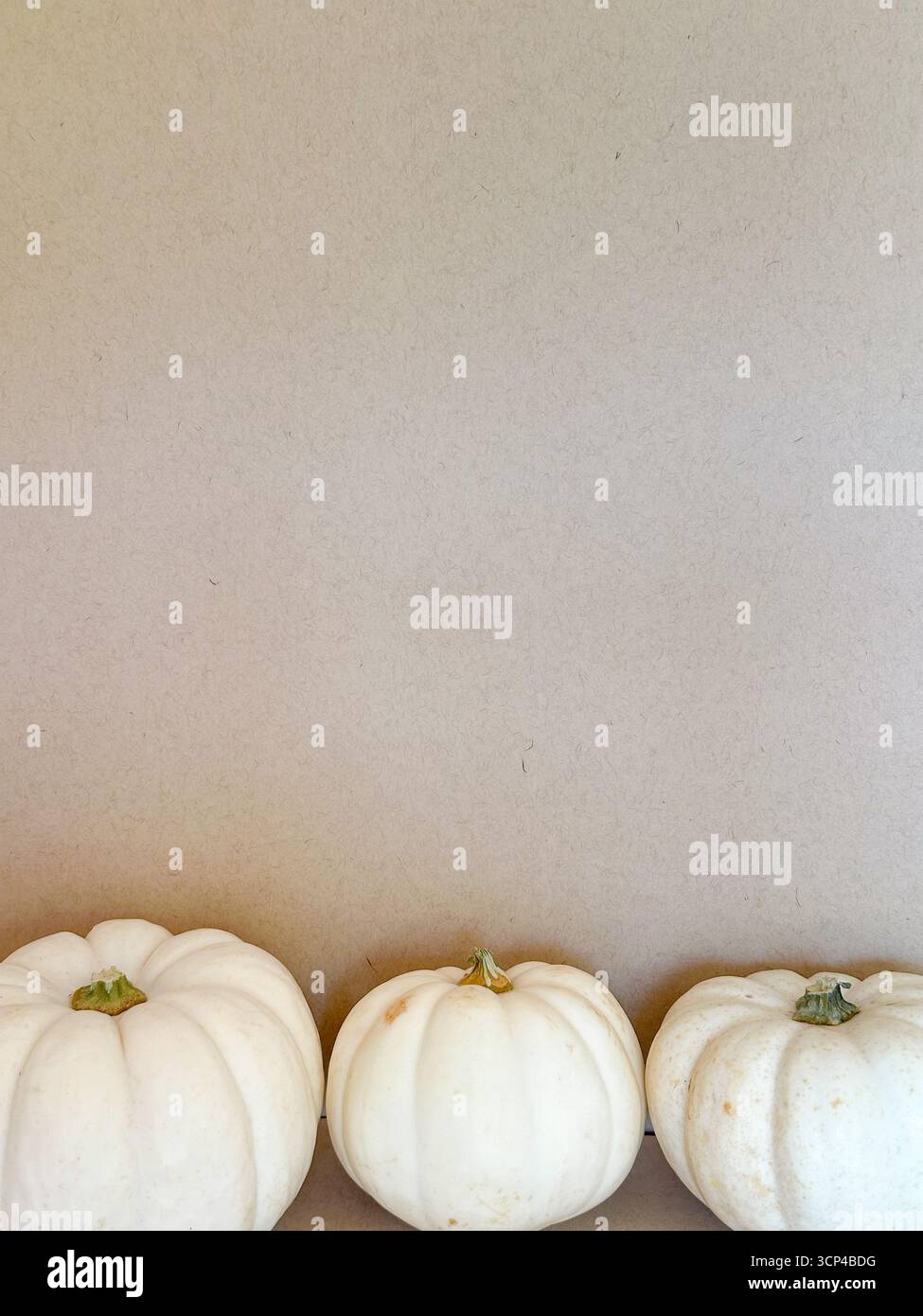 Un fond d'automne neutre avec trois citrouilles blanches disposées sur un simple fond beige. Motifs saisonniers, Thanksgiving et Halloween Banque D'Images