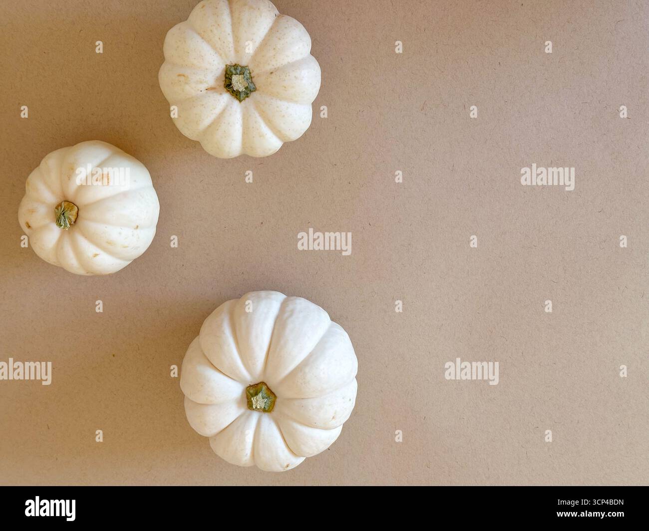 Un fond d'automne neutre avec trois citrouilles blanches disposées sur un simple fond beige. Motifs saisonniers, Thanksgiving et Halloween Banque D'Images