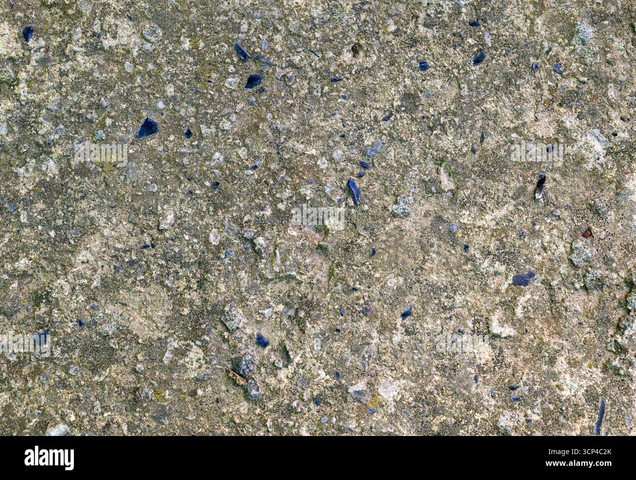Une surface de pierre grise et bleue avec de petits cailloux dispersés à travers elle. Les cailloux sont de différentes tailles et couleurs, créant une texture et visuellement dedans Banque D'Images