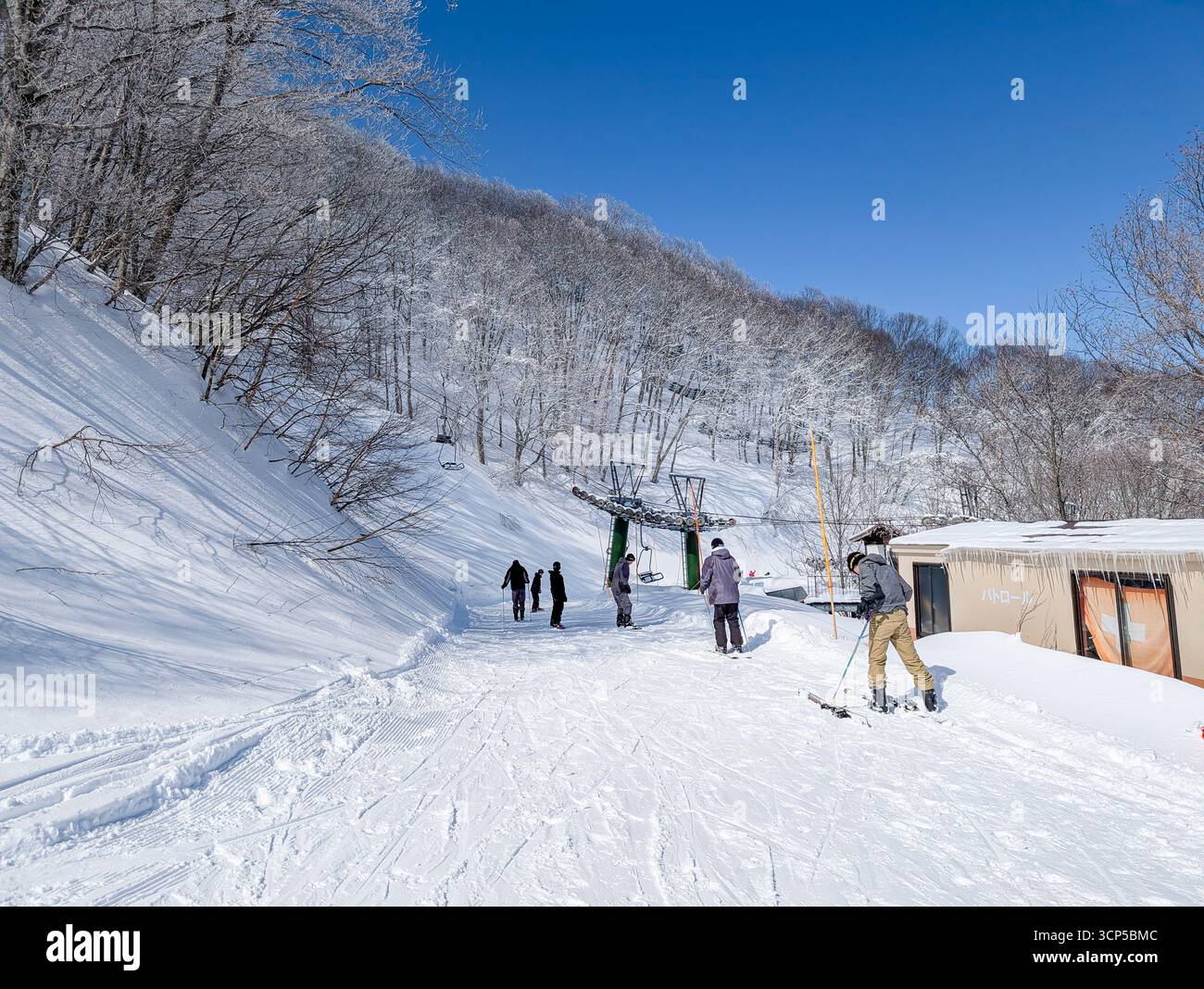 Skieurs et snowboarders sur une piste de correspondance à Madarao Resort, Nagano, Japon Banque D'Images