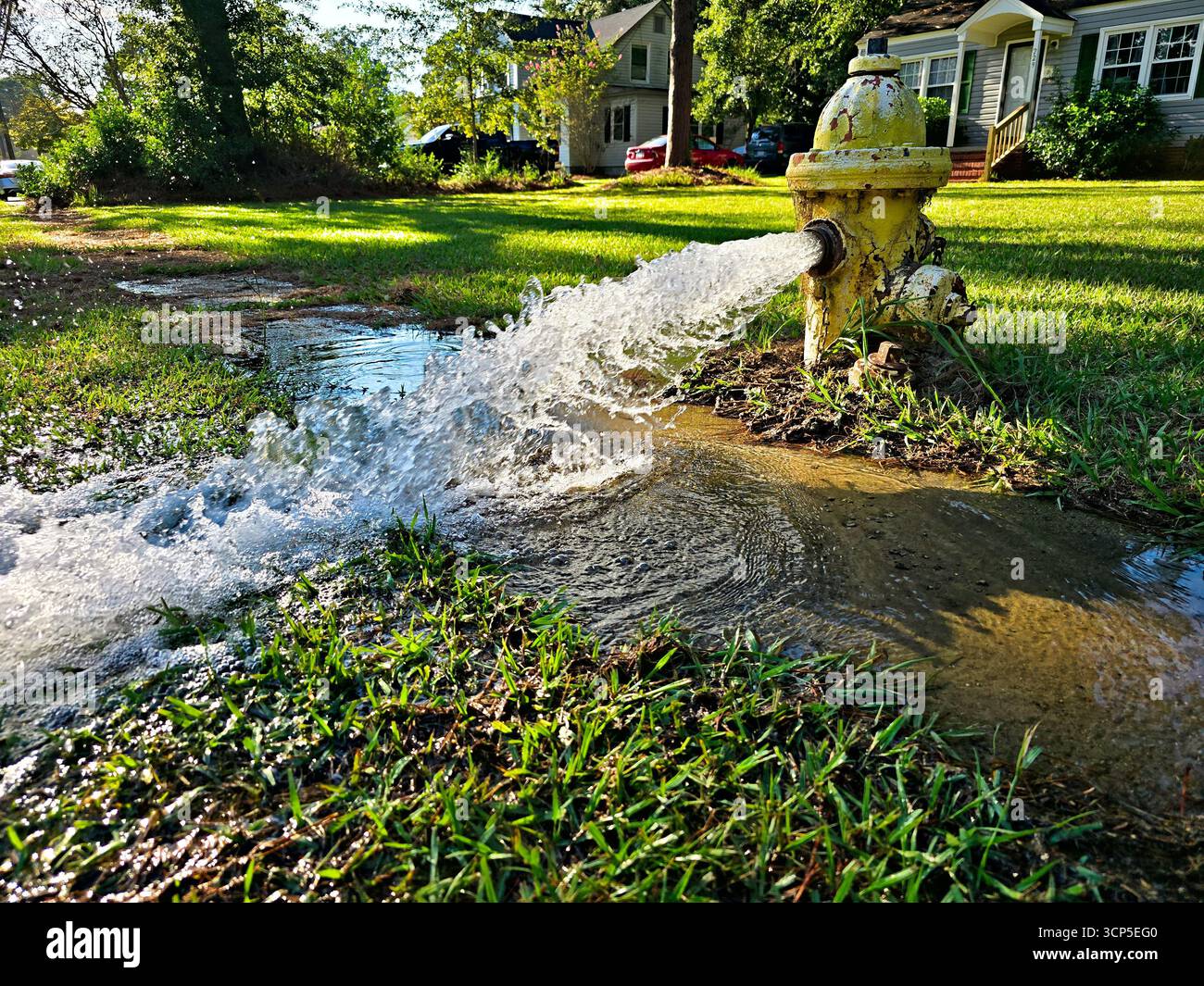 De l'eau jaillit d'une bouche d'incendie jaune ouverte créant une flaque de boue dans la cour avant d'une maison. Banque D'Images