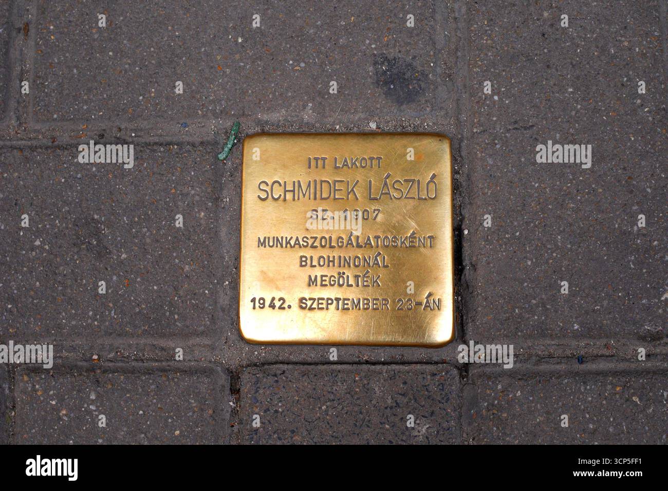 Stolpersteine (pierre de trésor, botlatókő) à Schmidek László, un Juif tué dans l'holocauste, Dohány utca 30/B, District 7, Budapest, Hongrie Banque D'Images