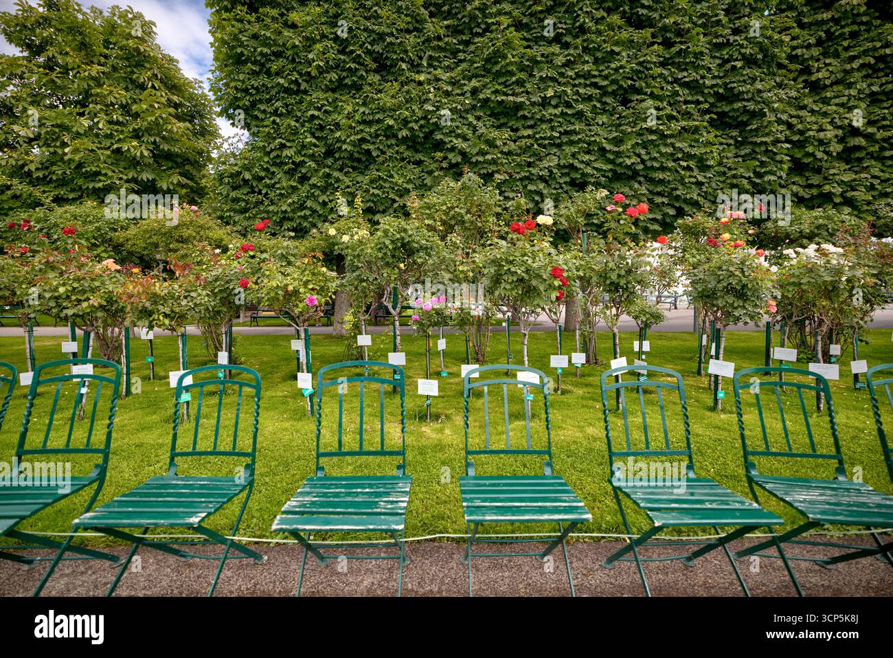 Des rangées vides de chaises vertes bordent les allées ombragées du parc Volksgarten à Vienne, un jardin public populaire connu pour ses collections de roses et ses neo Banque D'Images