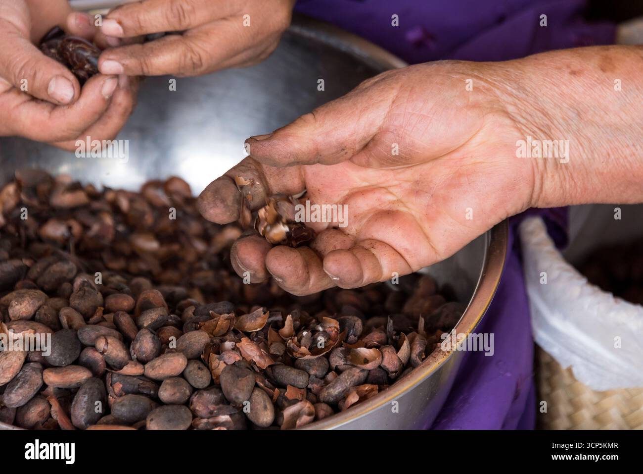 Deux dames choisissent les meilleures graines de chocolat à El Tule, Oaxaca, Mexique Banque D'Images