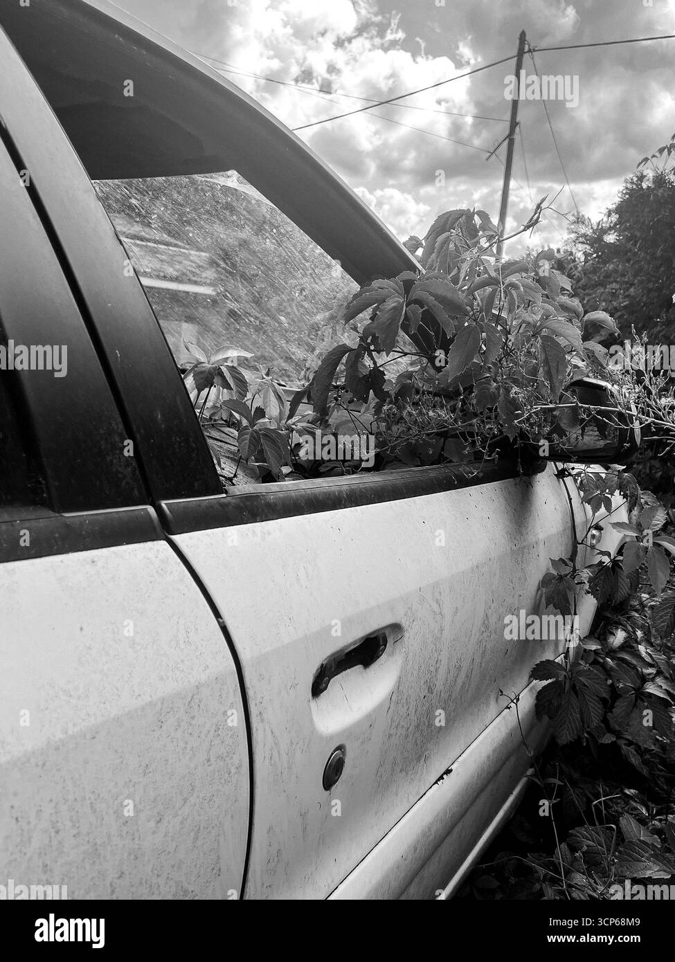 Voiture abandonnée envahie de ronces dans un cadre rural à midi Banque D'Images
