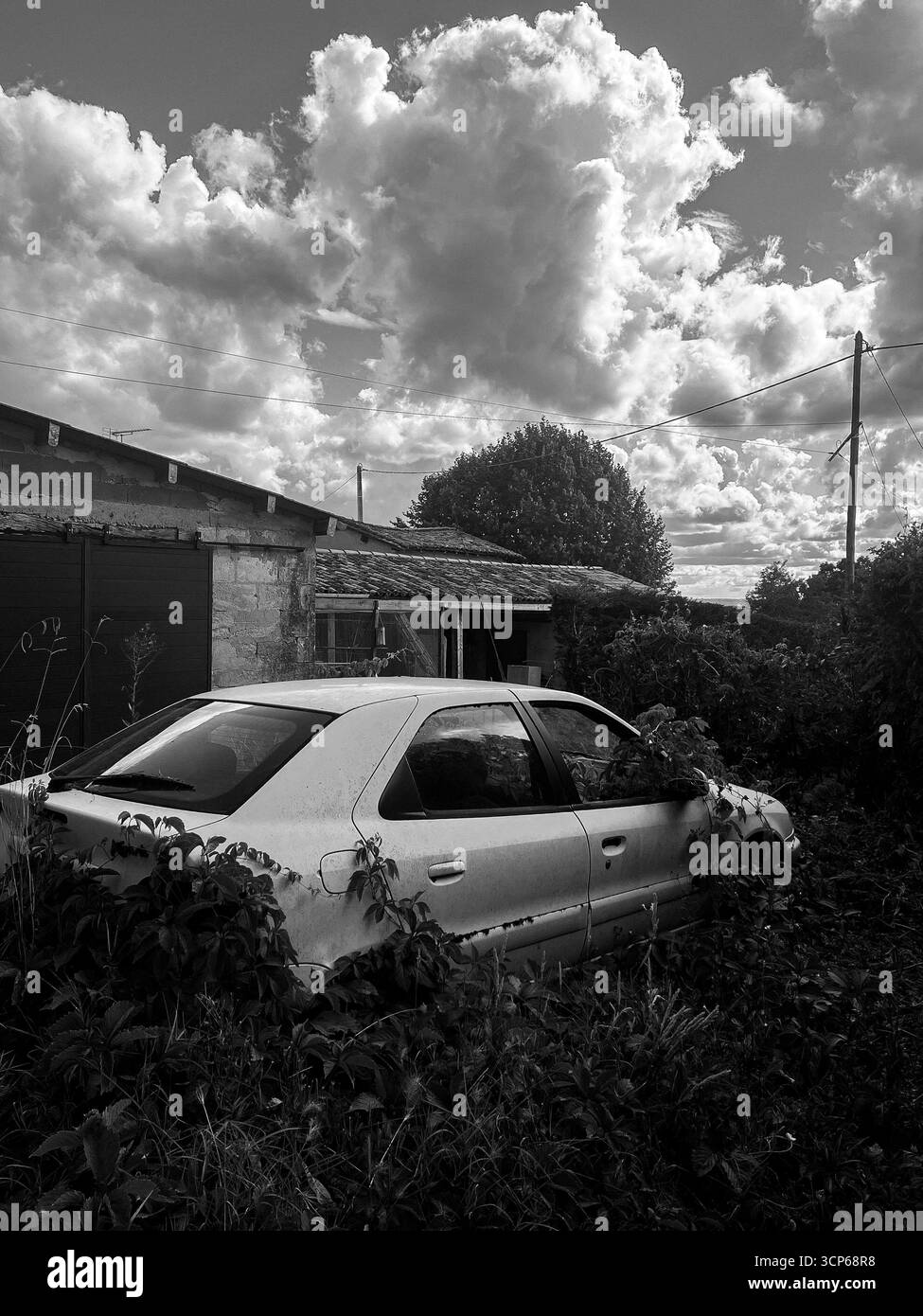 Voiture abandonnée envahie de ronces dans un cadre rural à midi Banque D'Images