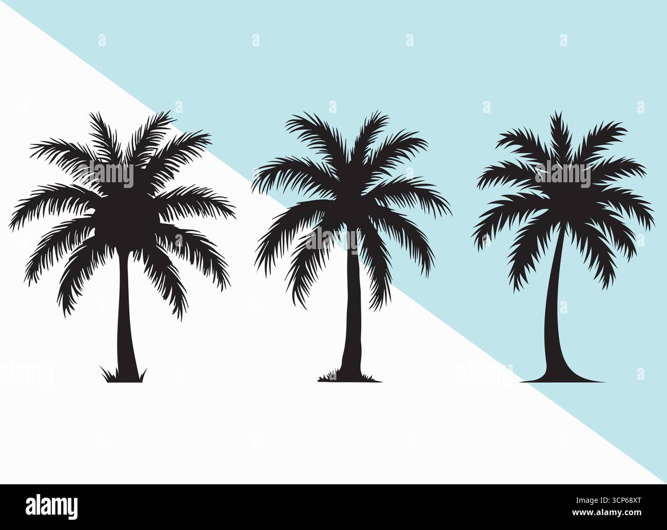 Ensemble vectoriel de silhouette de palmier tropical – arbres de noix de coco noirs isolés sur fond blanc pour la décoration de plage d'été et la conception graphique sur le thème de la nature Illustration de Vecteur