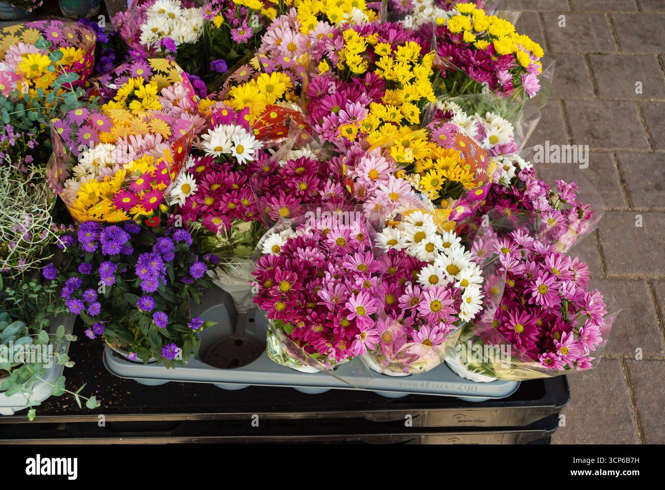 Assortiment de fleurs colorées affichées dans un marché de rue. Des fleurs lumineuses en rose, jaune, violet et blanc créent une composition florale joyeuse. Banque D'Images