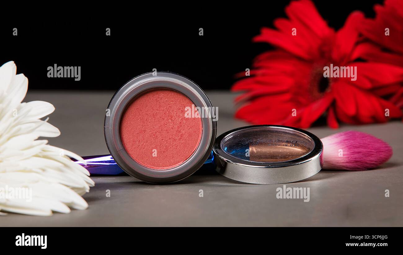 Une nature morte de beauté avec un pot de blush et pinceau de maquillage entre deux Marguerites Gerbera Banque D'Images