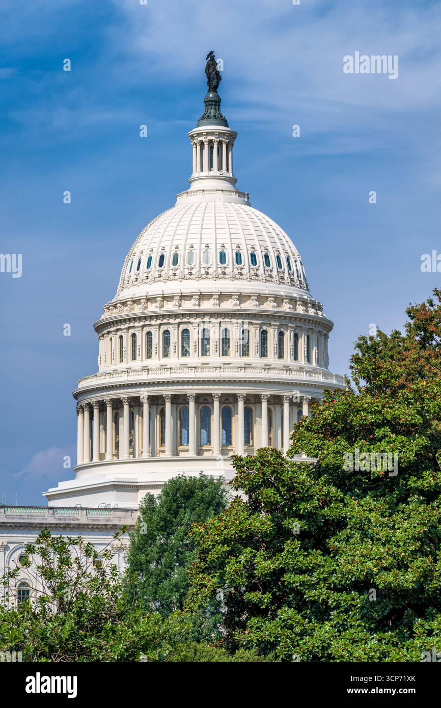 Dôme du Capitole DES ÉTATS-UNIS avec statue de la liberté Washington DC // WASHINGTON DC — la statue de la liberté couronne le dôme du Capitole des États-Unis, symbole de la démocratie américaine. Ce monument emblématique, situé à Washington DC, sert de lieu de rencontre pour le Congrès des États-Unis. Le dôme, achevé en 1863, est un chef-d'œuvre néoclassique et un élément important de l'horizon de Washington D.C. La Statue de la liberté, sculpture en bronze, se dresse au sommet du dôme, face à l'est. Banque D'Images
