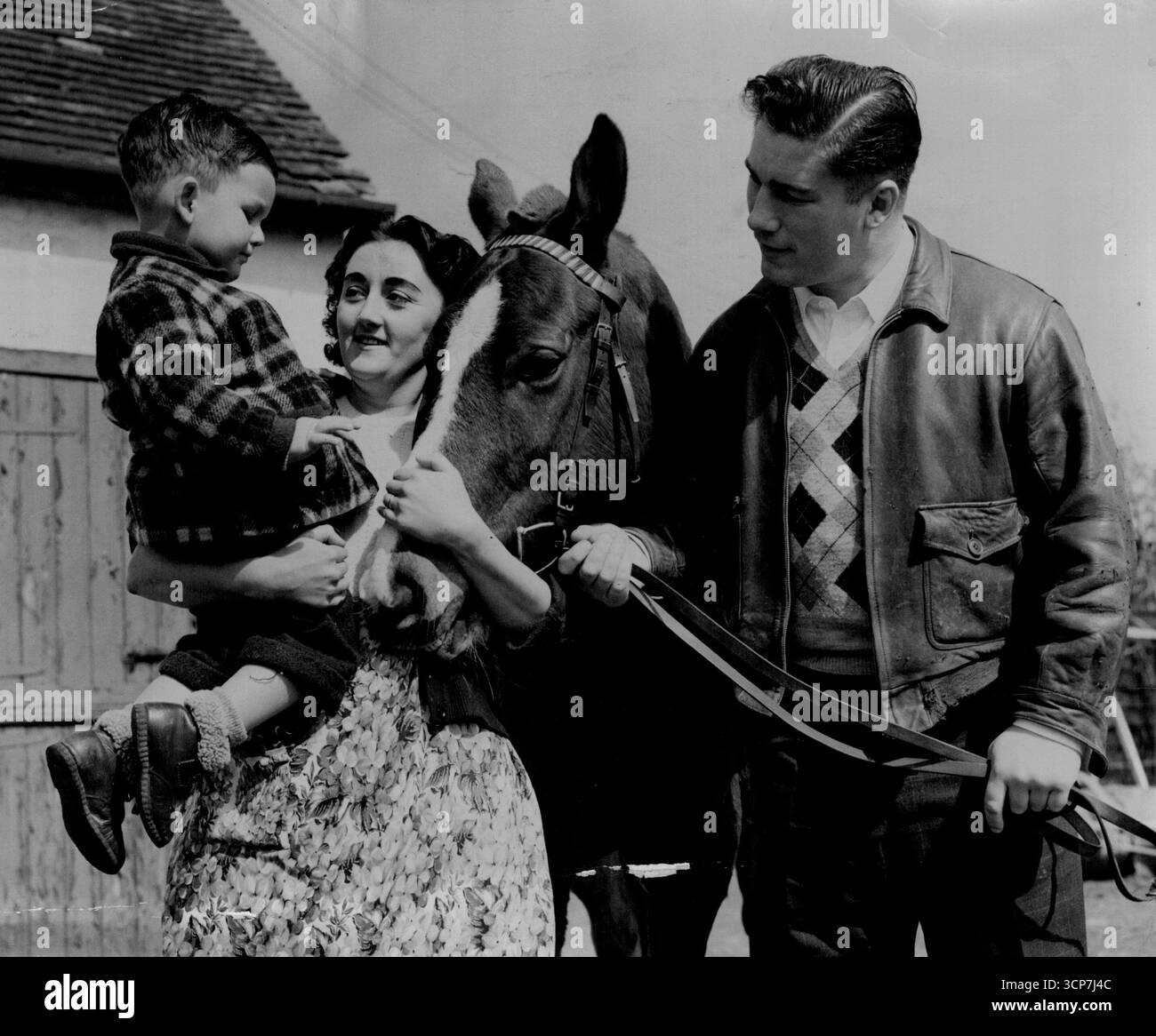 Jack compose la 'famille royale' : le champion britannique des poids lourds Don Cockell, réservé pour ce qui est espéré être un éliminateur de titre mondial avec l'américain Harry Matthews à White City le 1er juin, présente son cheval, Jack of Diamonds, à sa femme, Irene, et le jeune fils, Peter, 2 ans, sur sa ferme de diamants à Horam, Sussex.Like son maître, Jack of Diamonds est un gagnant de trophées - il a eu plusieurs victoires à la gymkhana locale. 22 avril 1954. Banque D'Images