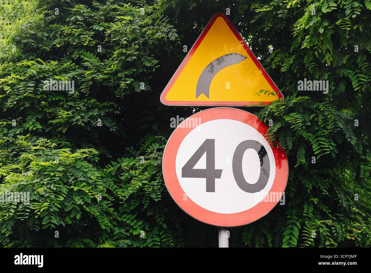 Limite de vitesse du panneau de signalisation routière 40 avec symbole d'avertissement de virage. Panneau en fond de forêt verte. Réglementation de la sécurité des transports. Banque D'Images