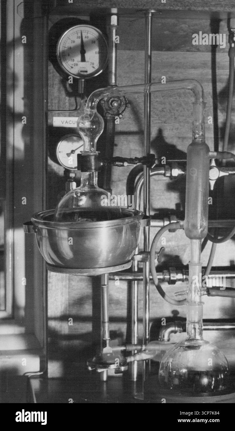 Après avoir ajouté un réactif pour empêcher la formation de mousse, le liquide est distillé dans cette cornue, placé dans un récipient en cuivre, pour obtenir le concentré. 28 janvier 1950. Banque D'Images