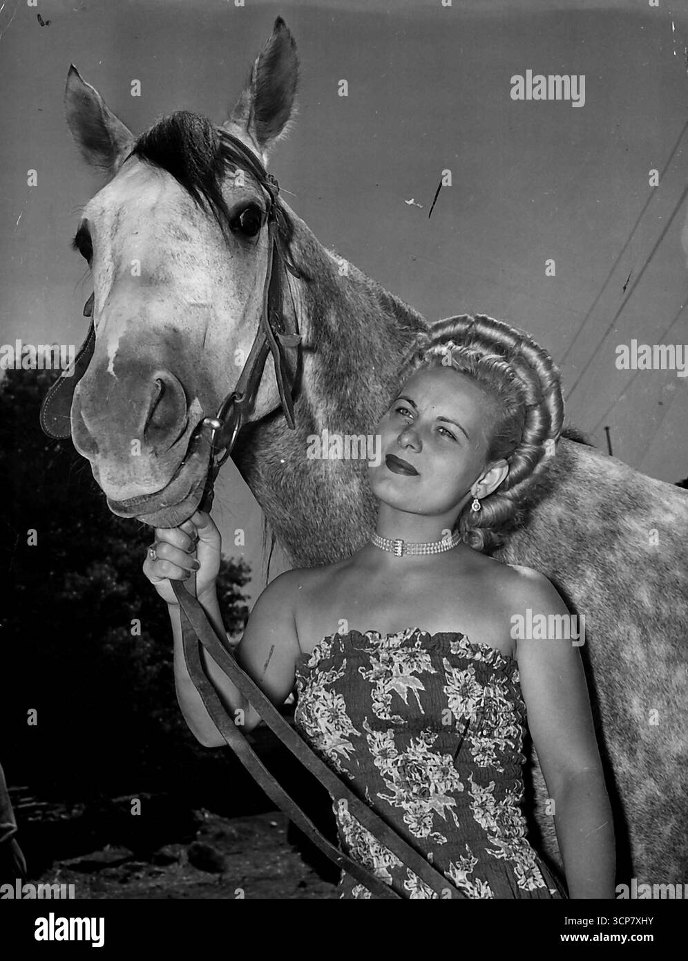 The Circus Life -- Ingha Smaha est une femme et une mère et interprète dans les meilleures traditions du cirque. Il n'y a pas de famille plus heureuse que celle parmi les artistes de Wirth ***** Et dans l'anneau Ingha est un flaxenhaired, ***** fille de glameuse. Je suis jusqu'à 7 heures. Mon mari aime se lever tôt et pratiquer avec les garçons, leur enseigner avec les chevaux. Ils le réveillent donc très tôt avec une tasse de thé et un biscuit. Quand je me lève, je nettoie la caravane le lundi - prendre tout dehors. Nous sommes habitués aux caravanes. Nous les avons eu en Angleterre et en Europe. Ce sont des caravanes de vacances plus petites, et plus, pour nous. Banque D'Images