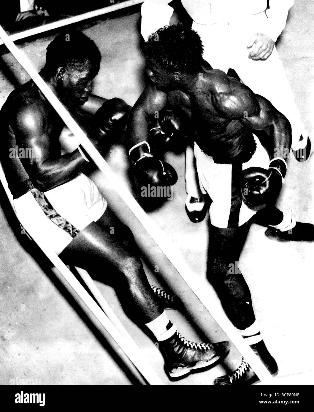 Marshall Clayton semble avoir des ennuis sur les cordes dans le combat de stade d'hier soir avec Carl Coates, mais les apparitions sont trompeuses car Clayton n'a jamais été sous pression à aucun stade du concours. 14 avril 1954. Banque D'Images