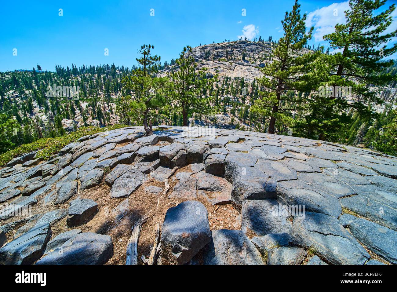 Colonnes de basalte et pins à Devils Postpile dans California Mountain Landscape Banque D'Images