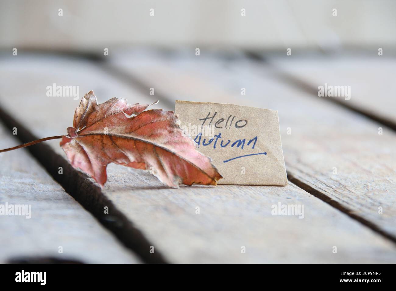 Bonjour concept d'automne. Fond d'automne. Banque D'Images