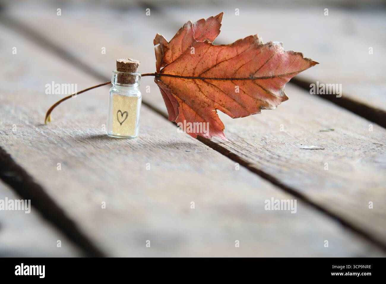 Bonjour concept d'automne. Fond d'automne. Banque D'Images