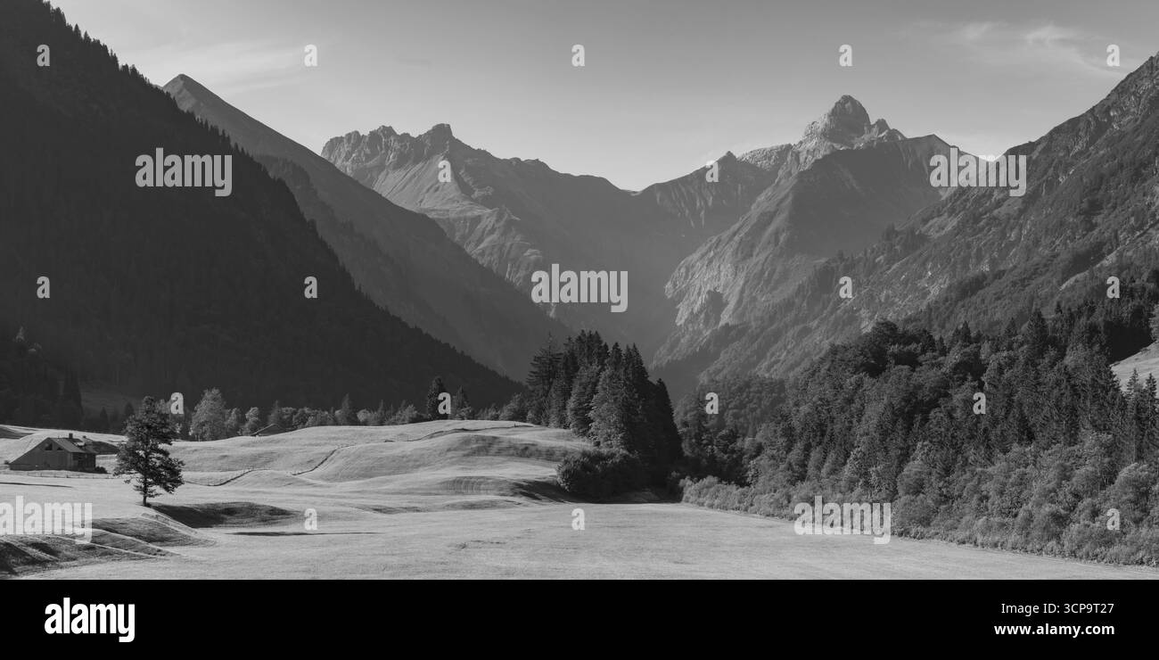 Prairie d'été dégagée dans le Trettachtal, près d'Oberstdorf, derrière le Kratzer, 2428m et le Trettachspitze, 2595m, Allgaeu Alpes, Allgaeu, Bavière Banque D'Images