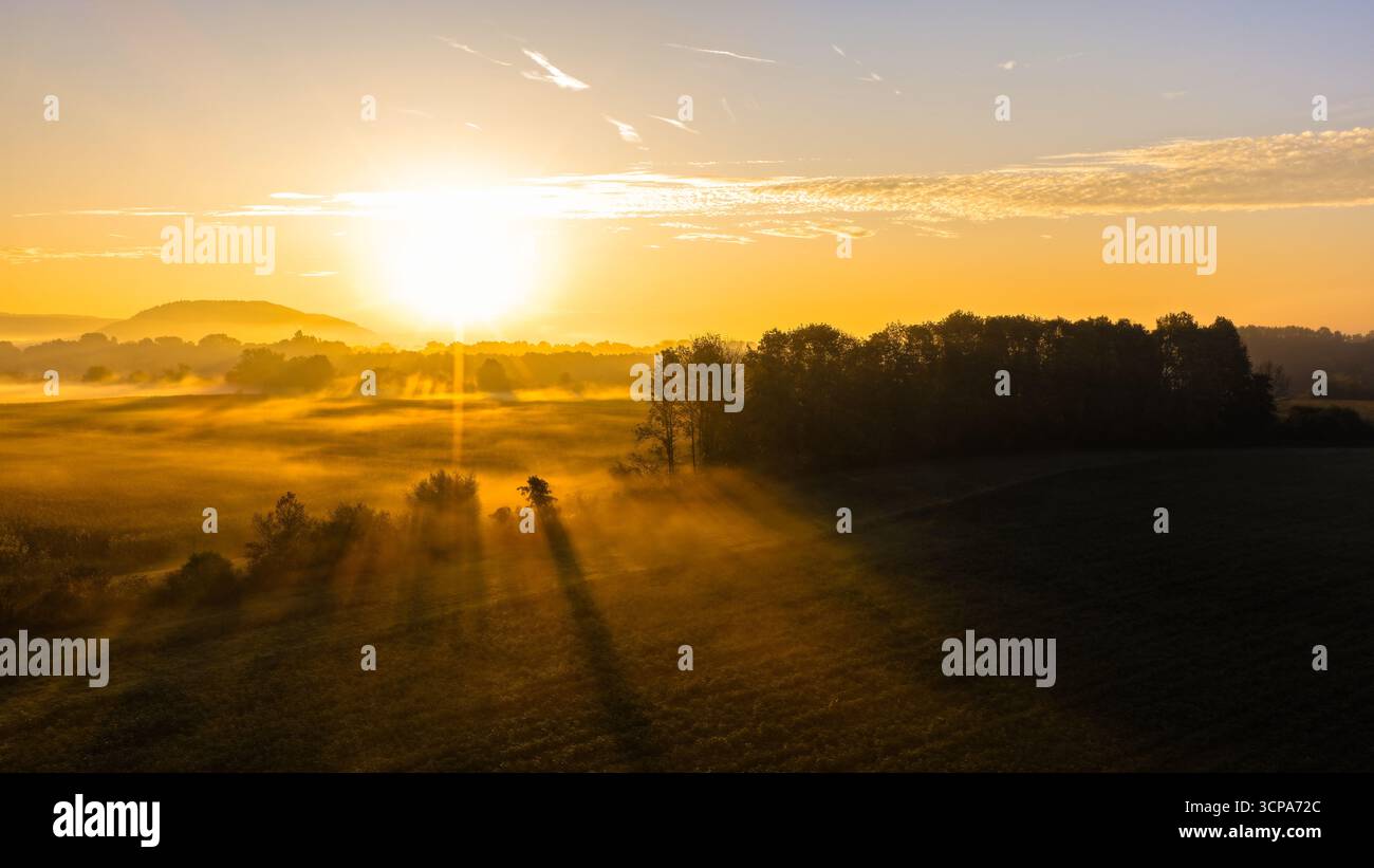Lever du soleil projetant de longues ombres sur les champs de Foggy et les arbres Banque D'Images