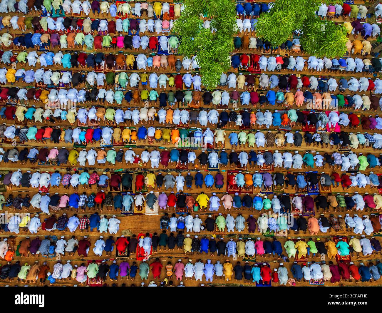 Joypurhat, Bangladesh - 22 avril 2023 : vue aérienne de rangées de dévots vêtus de robes vibrantes, têtes inclinées en prière sous l'ombre fraîche d'un arbre vert. Banque D'Images