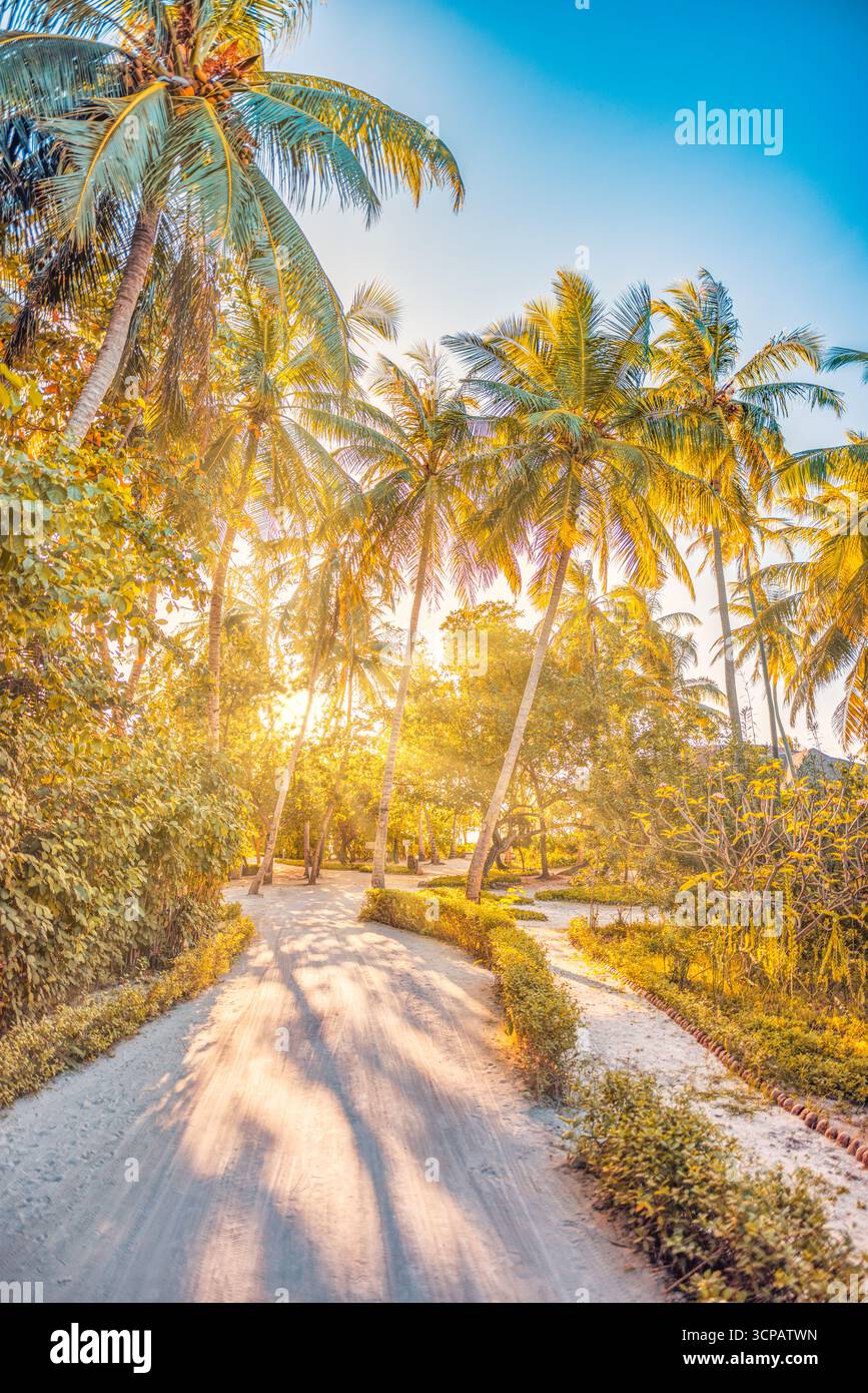 Majestueux sentier tropical de l'île au coucher du soleil rayonnant à travers les feuilles de palmier et les arbres, paysage de nature exotique relaxant et paradis paisible pittoresque Banque D'Images