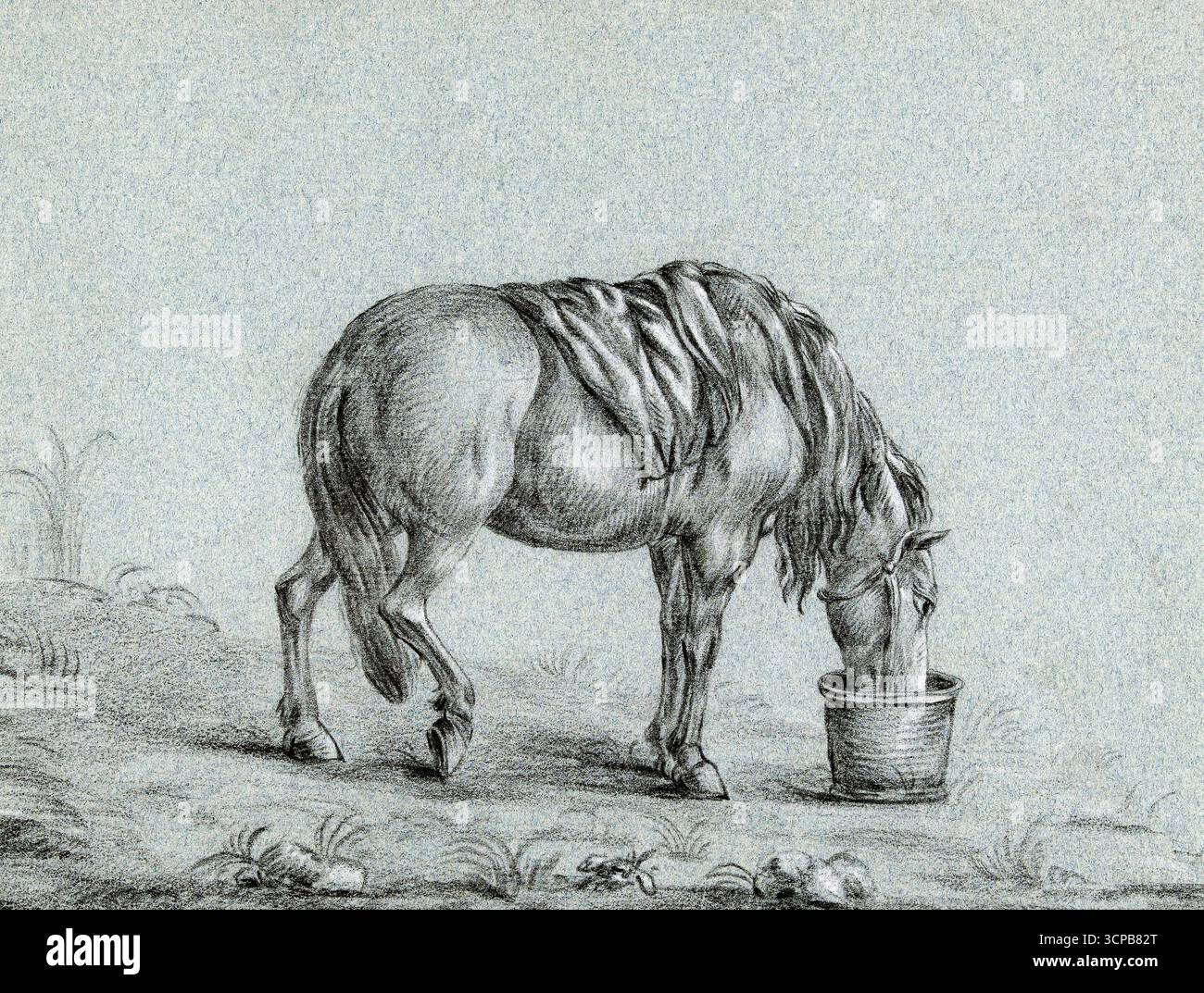 Cheval mangeant d'une poubelle de Jean Bernard, dessin d'histoire naturelle haute résolution du XIXe siècle, illustration détaillée de chevaux et d'animaux de ferme Banque D'Images