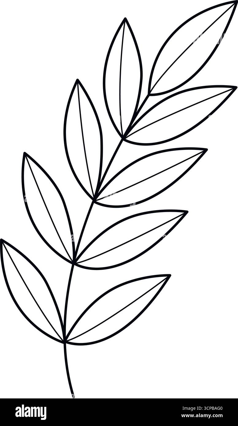 Branche feuillue gracieuse dessinée à la main. Icône de nature botanique de branche avec des feuilles. Dessin de contour noir, feuillage de style d'esquisse doodle, élément vectoriel. Illustration de Vecteur