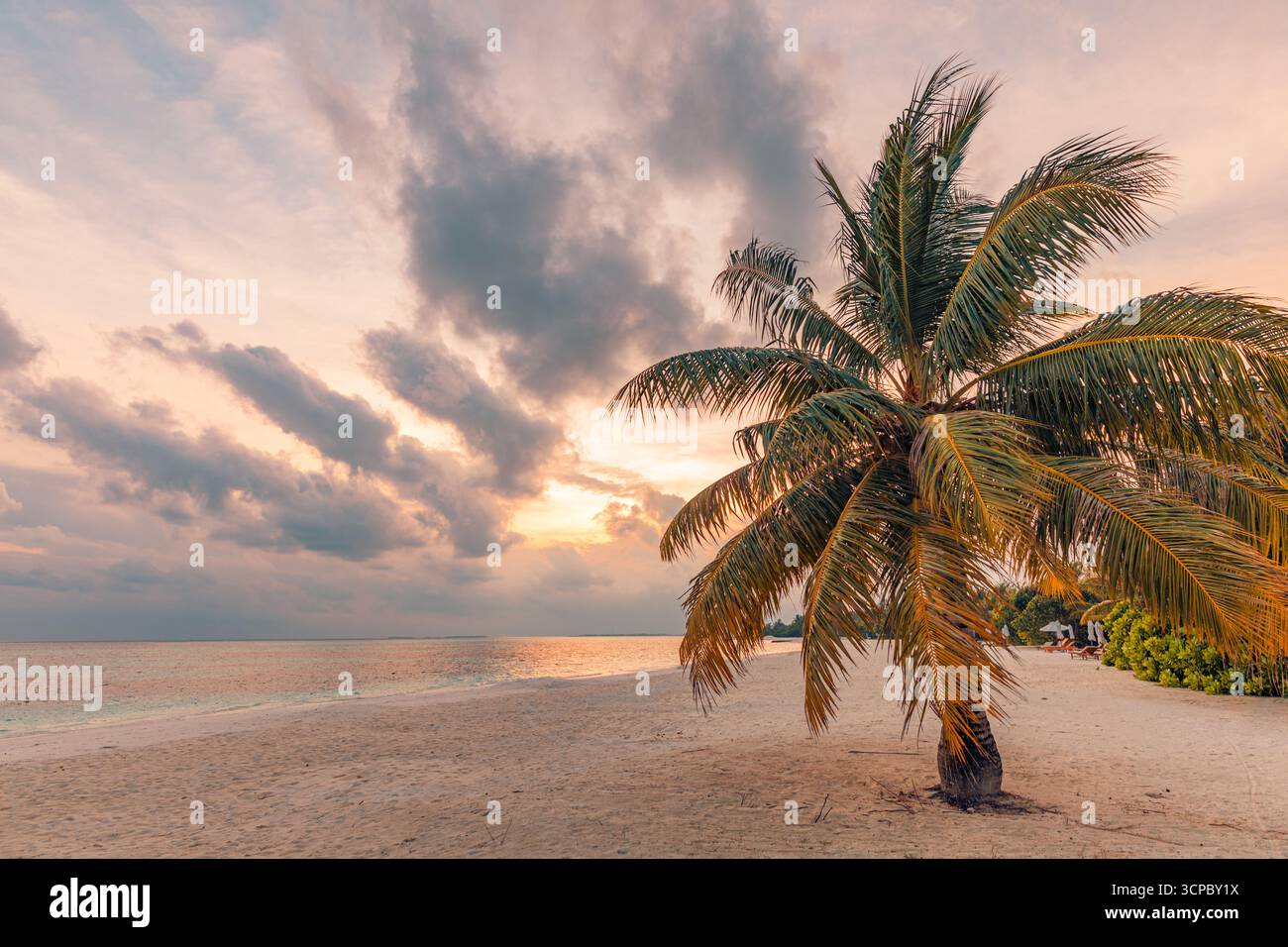 Plage de coucher de soleil relaxant, palmier, ciel coloré du soir, paysage tropical, paradis tranquille serein, heure dorée vibrante, destination de vacances d'été Banque D'Images