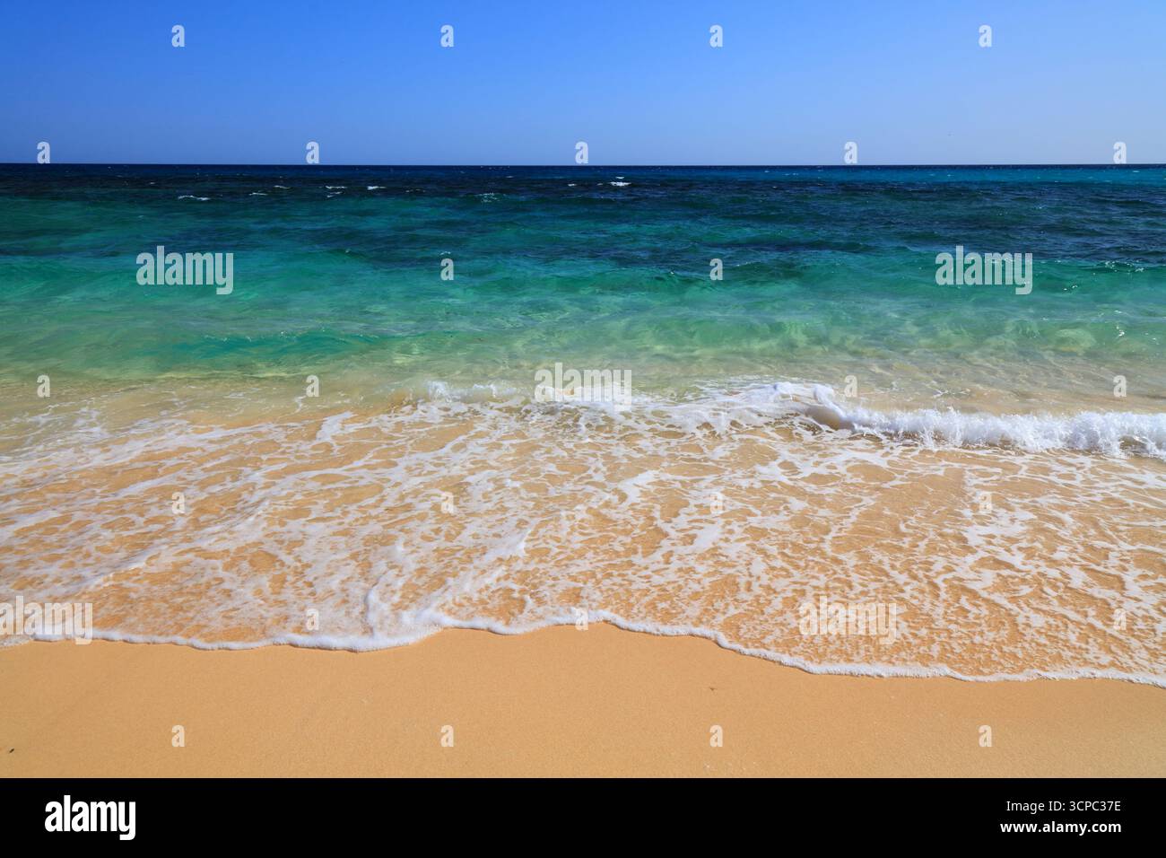 Corralejo plage de sable parfaite à Fuerteventura île des Canaries, Espagne. Banque D'Images