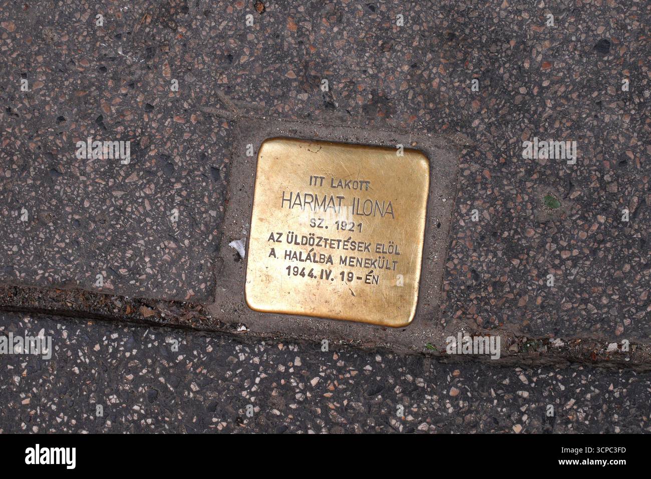 Stolpersteine (pierre d'achoppement, botlatókő) à, Harmat Ilona, un Juif tué dans l'holocauste, Budapest, Hongrie Banque D'Images