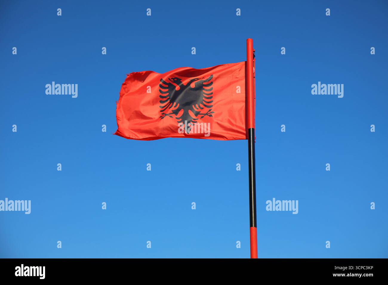 Drapeau de l'Albanie. Drapeau national dans le vent. Banque D'Images