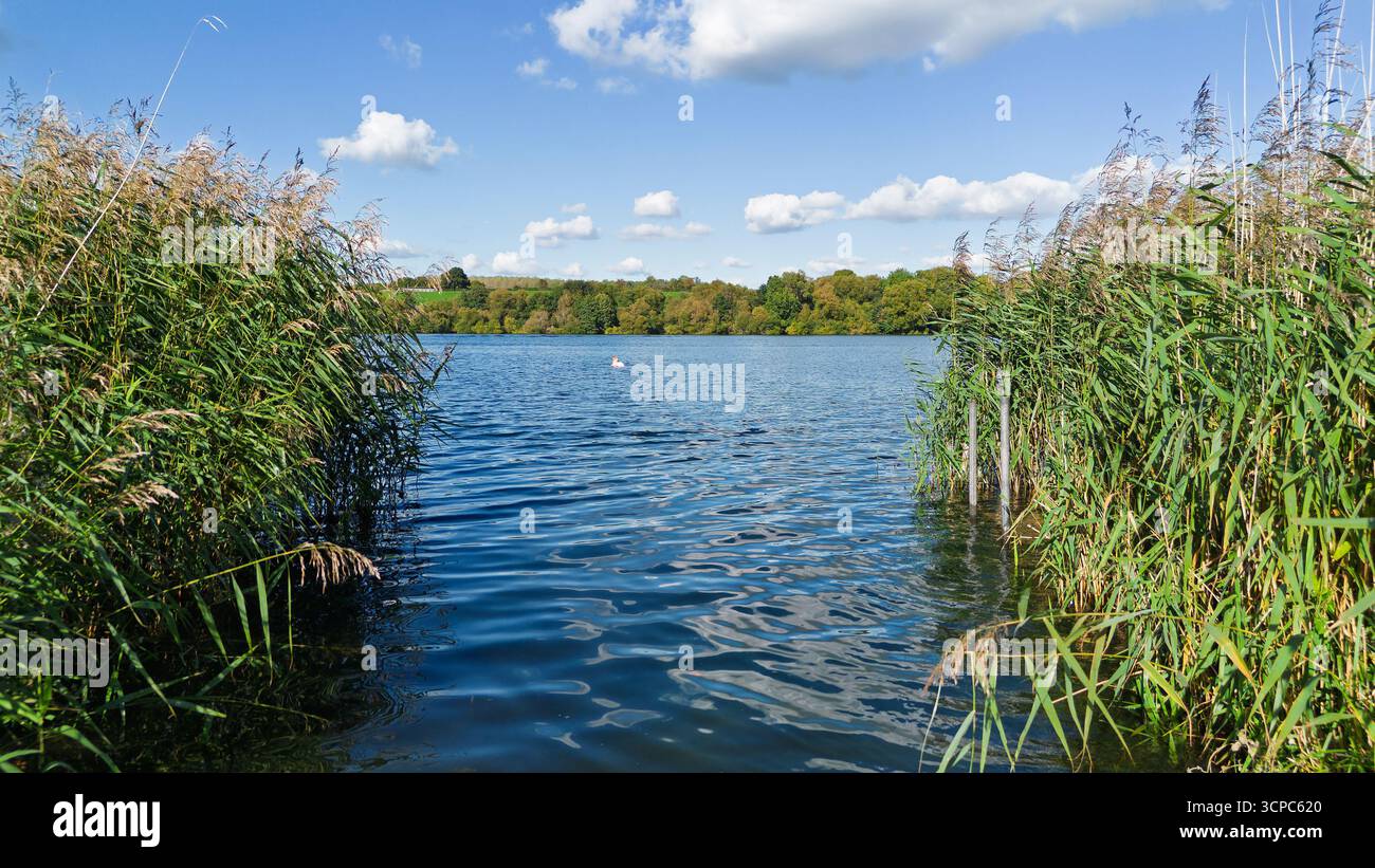 Lac Pickmere près de Northwich dans le Cheshire. Bien connaître endroit de beauté pour le canotage et la baignade. Banque D'Images