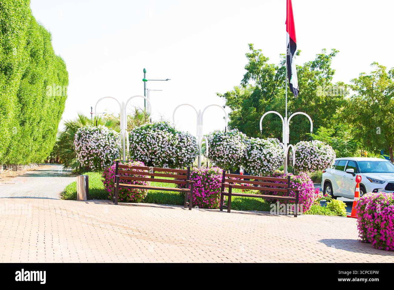 Scène paisible du parc avec des bancs en bois entourés de fleurs vibrantes et des drapeaux des Émirats arabes Unis en arrière-plan. Parc public Banque D'Images