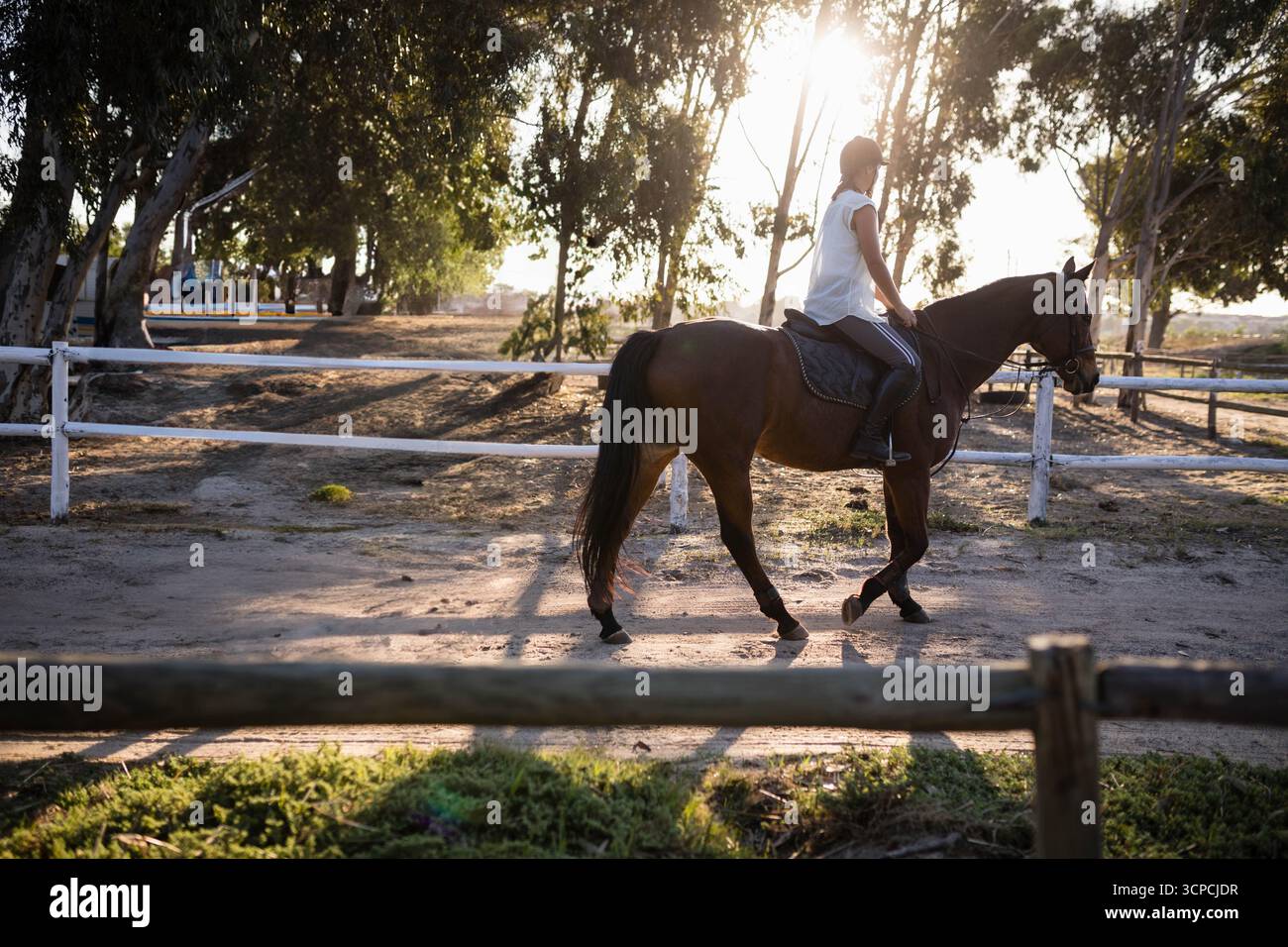 Cavalière équestre portant un casque chevauchant un cheval de baie bridled dans un paddock sablonneux clôturé Banque D'Images