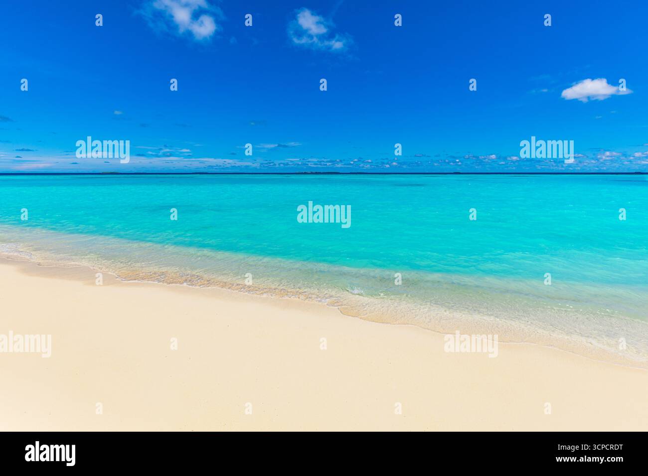 Paysage de plage d'été ensoleillé avec un ciel de sable de mer en gros plan relaxant créant une scène côtière tranquille avec une lumière vive d'eau calme et une beauté naturelle Banque D'Images