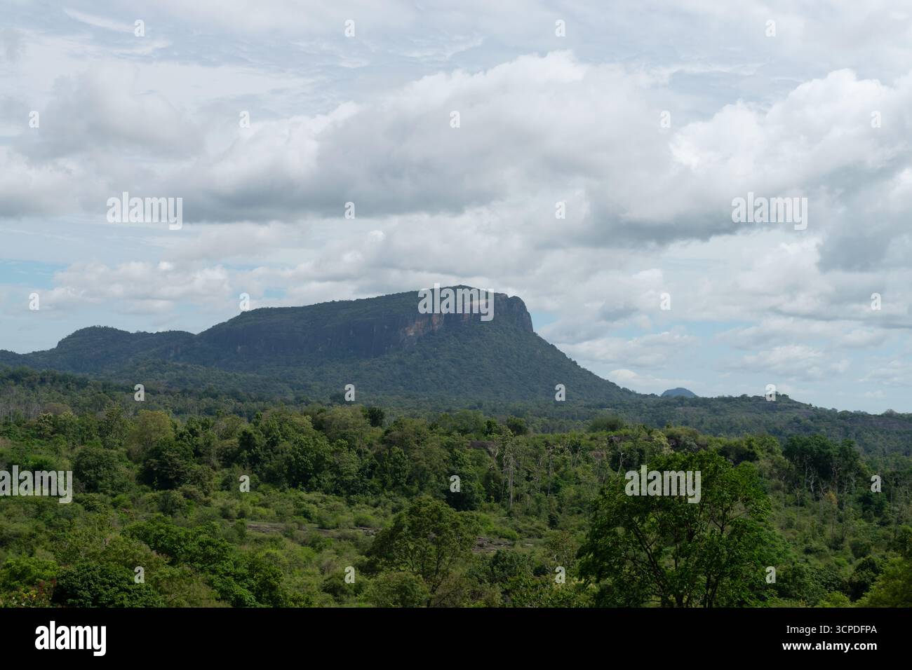 Tranquillité préservée au cœur du Sri Lanka. Une vue panoramique sur les collines vallonnées Banque D'Images