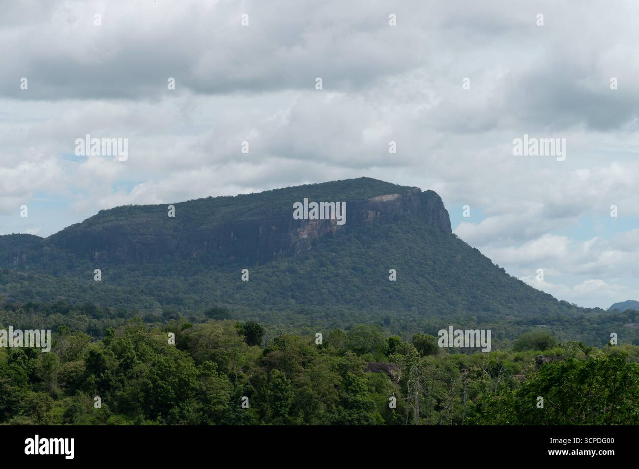 Tranquillité préservée au cœur du Sri Lanka. Une vue panoramique sur les collines vallonnées Banque D'Images