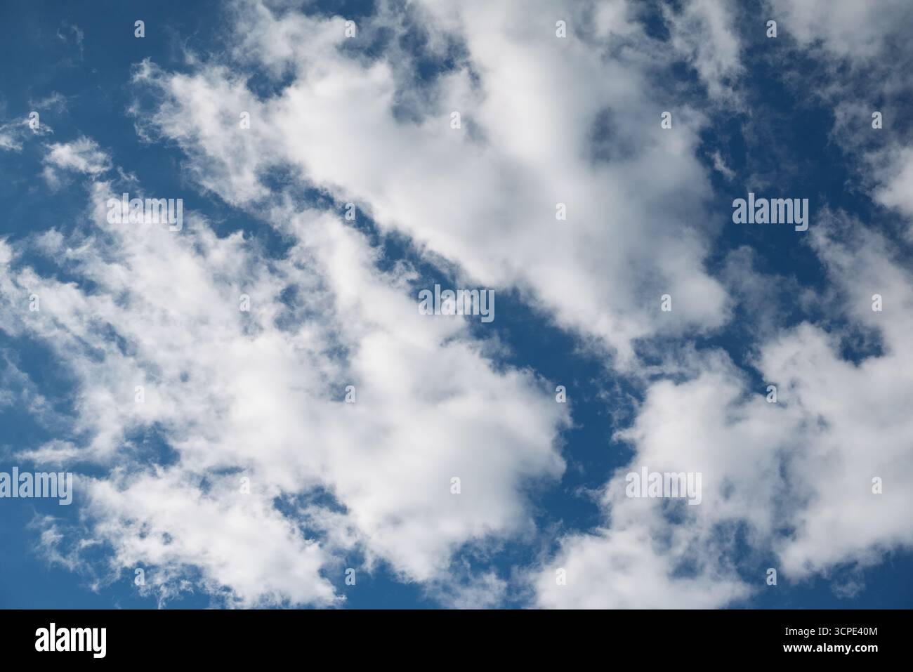 Nuages Cumulus blancs pelucheux contre un ciel bleu vif - idéal pour le remplacement du ciel Banque D'Images