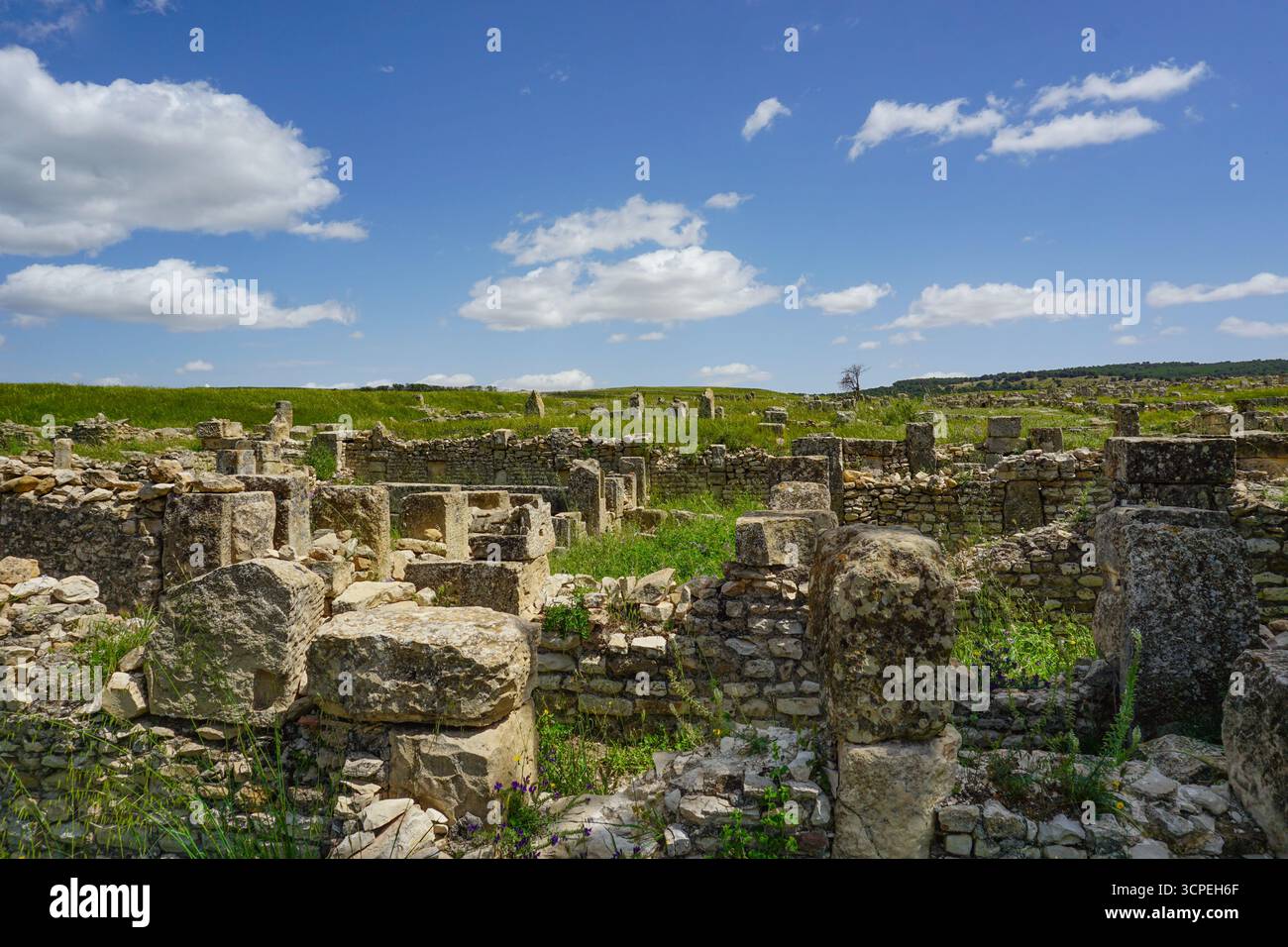Ruines romaines, Madaure, Souk Ahras, Algérie Banque D'Images